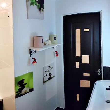 Old Romantic Appartamento Braşov