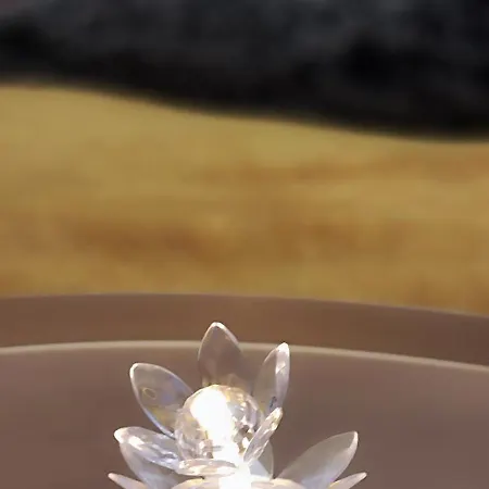 Old Romantic Appartamento Braşov