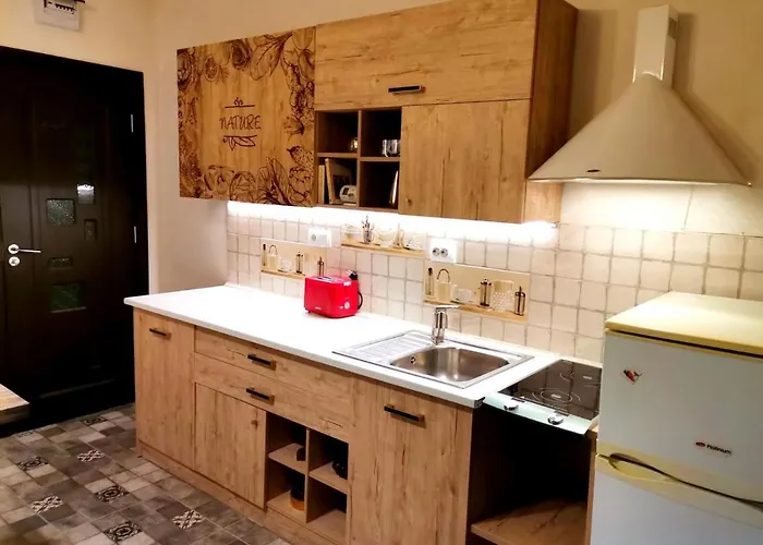 Apartman Old Romantic Brassó